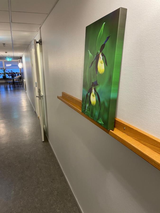 Lidköping Broholm Bed&Breakfast المظهر الخارجي الصورة